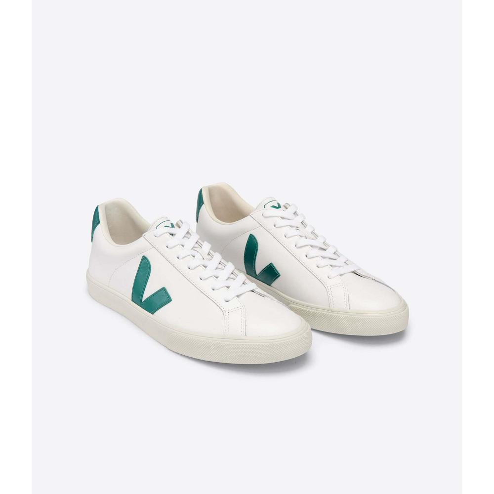 Veja ESPLAR LEATHER Tenisky Damske White/Green | SK 619KOR